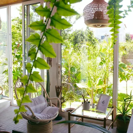 Vale - Surf & Yoga Homestay *