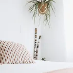 Vale - Surf & Yoga *