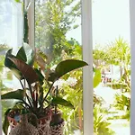 Vale - Surf & Yoga 沙尔内卡
