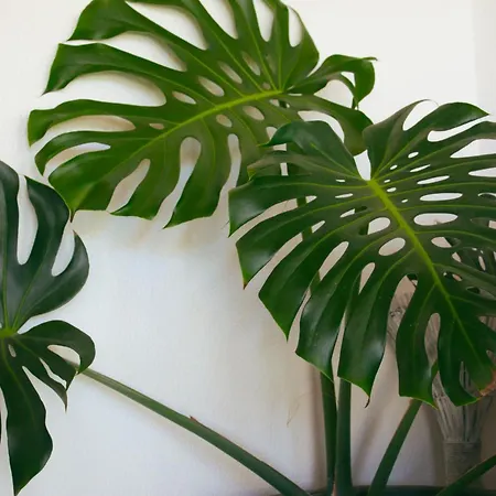 Vale - Surf&yoga * Charneca (Setubal)