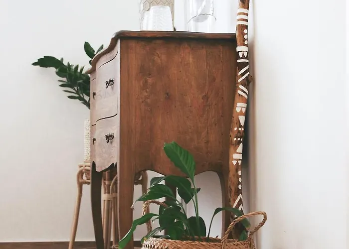 Vale - Surf & Yoga