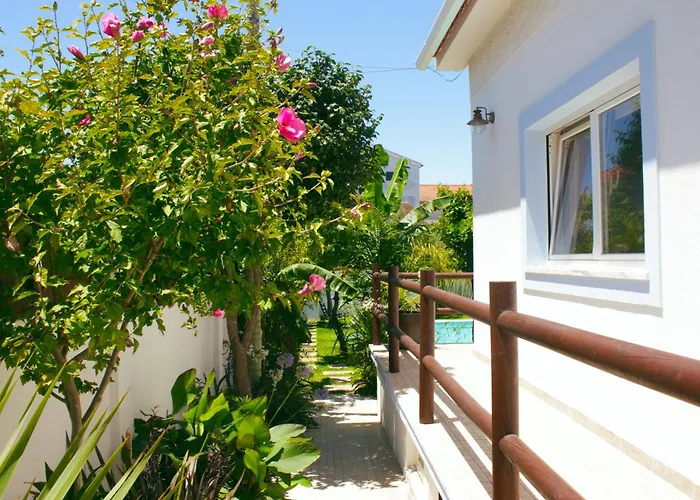 Accommodatie bij particulieren Vale - Surf & Yoga *