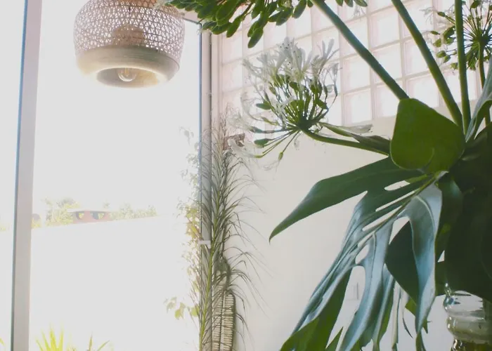 Vale - Surf & Yoga Accommodatie bij particulieren *