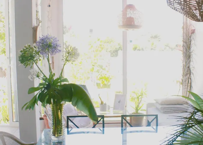 Accommodatie bij particulieren Vale - Surf & Yoga